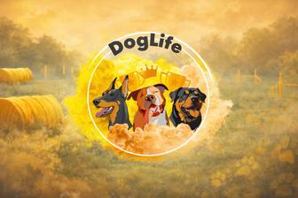 Зоогостиница DogLife