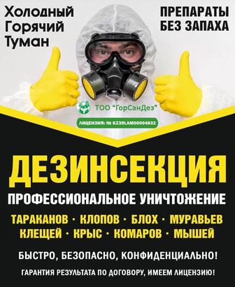 Уничтожение тараканов клопов блох дезинфекция с гарантией