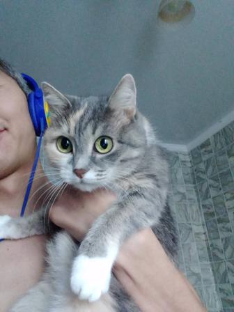 ЭлектриК бззззз