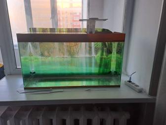 Аквариум 100 литров