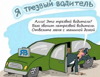 Трезвый водитель