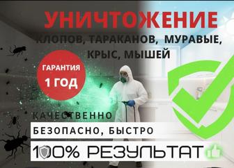 Дезинфекция от тараканов и клопов с гарантией 1 год