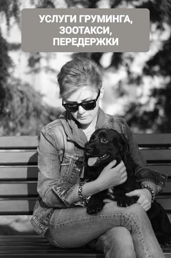 Зоотакси Алматы