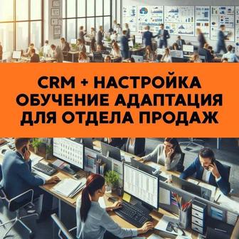 amoCRM для отдела продаж настройка, обучение и адаптация