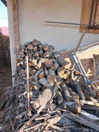 Продам дрова для шашлыка плодовые деревья.