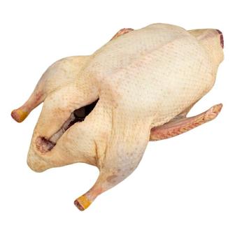 Продам тушки гусей готовые