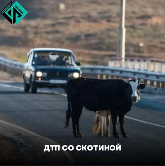 Юрист по всем направлениям и специализации