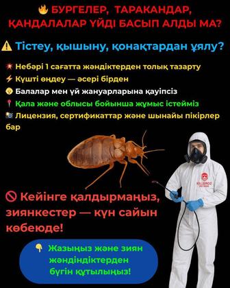 Дезинфекция, дезинсекция, уничтожение тараканов, клопов