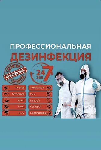 Дезинфекция Алматы