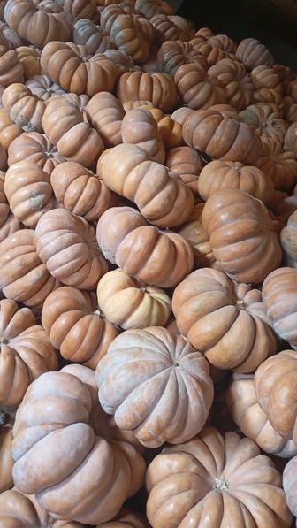 Тыква аскабак