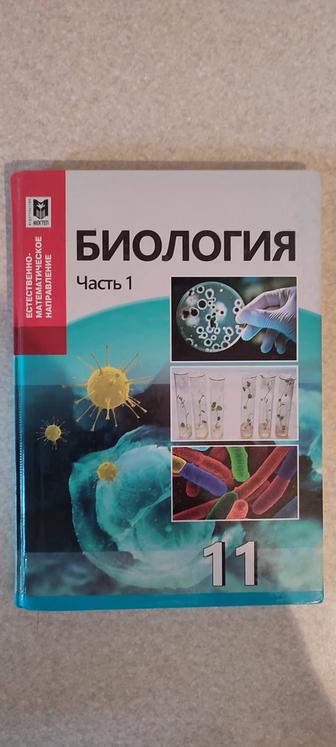 Учебник