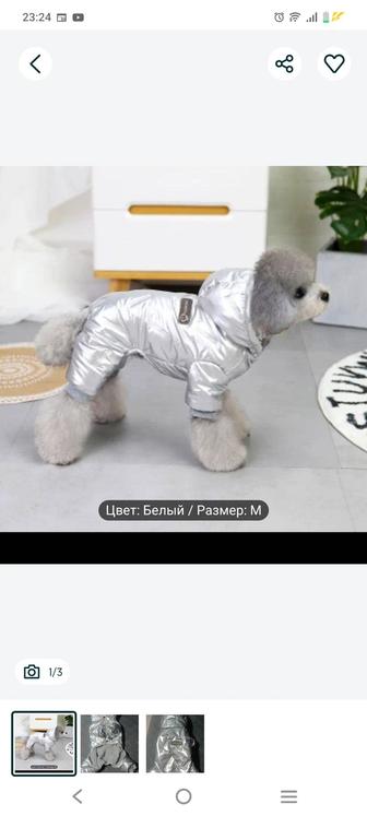 Продается комбинезон для маленькой породы собак размер М