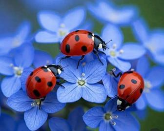 Корректура текстов любой сложности и направления на русском языке