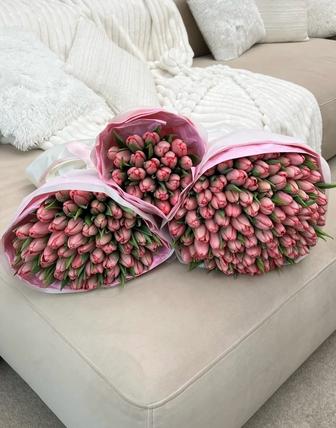 предзаказ тюльпаны