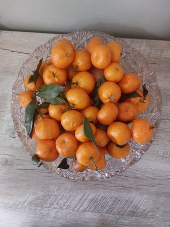 Парные хрустальные салатники (фруктовницы), СССР