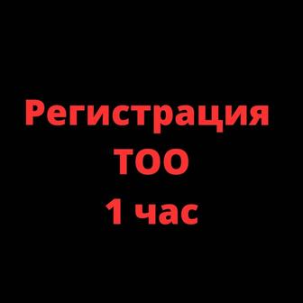 Регистрация ТОО 1 час