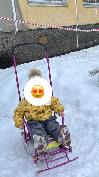 Детские санки