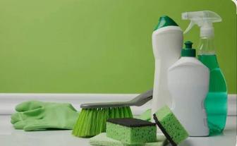 Мастер чистоты