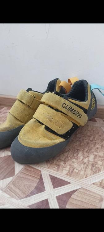 Скальные туфли