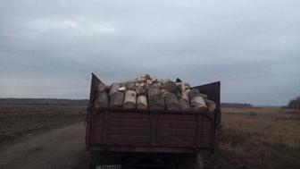 продам дрова