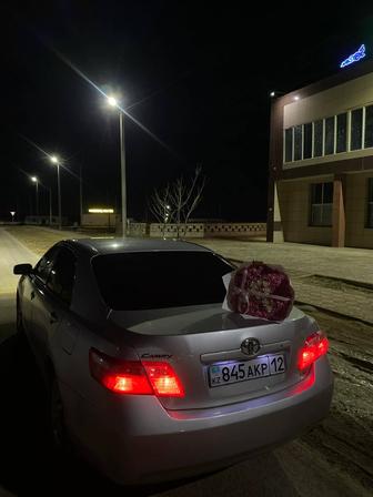 Трезвый водитель