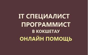 Компьютерная помощь онлайн. Программист, айтишник. Установка, настройка