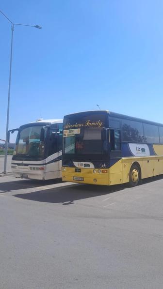 Автобусы и микроавтобусы