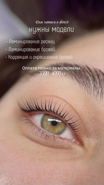 Ламинирование ресниц/ Оформление бровей