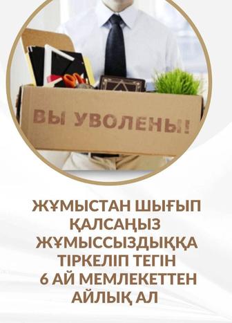 Арест шешу, ОТЧЕТ тапсыру