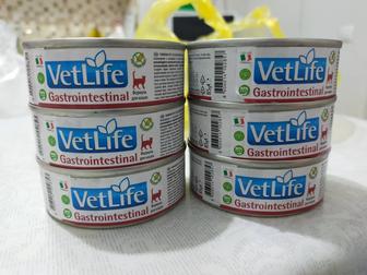 Паштет VetLife Gastrointestinal для кошек