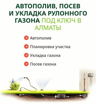 Автополив рулонный посев газона
