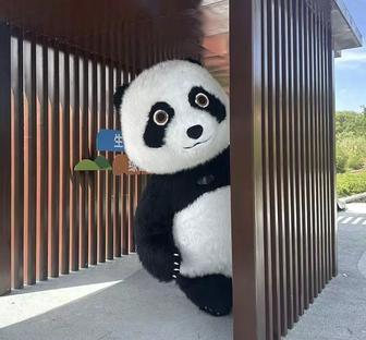 Прокат Мишки