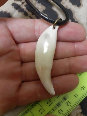 Амулет кулон клык волка.