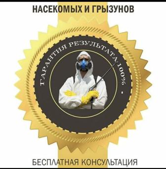 Дезинфекция Дезинсекция дезодорация