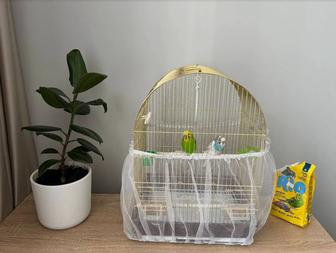 Продам клетку для попугайчиков