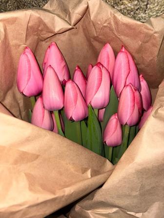 Тюльпаны оптом