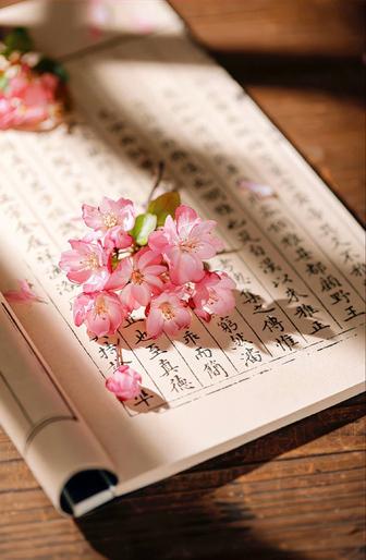 Хотите начать говорить по-китайский уже через несколько занятий