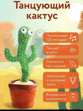 Танцующий кактус