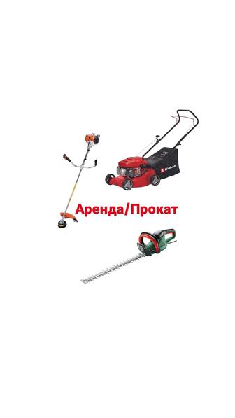 Аренда/Прокат триммер, коса,газонокосилка, кусторез