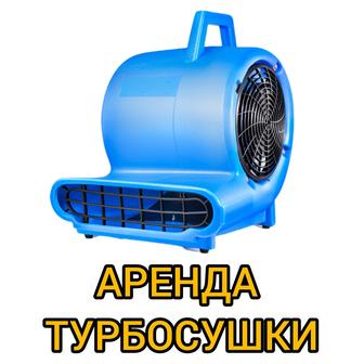 Аренда сушки