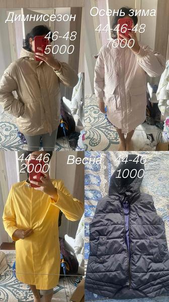 Куртки пальто пуховик
