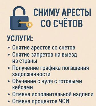 Снятие арестов, получение графика, обучение.