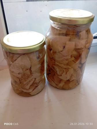 Белый маринованный гриб