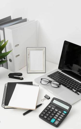 ИП, ТОО отчеты