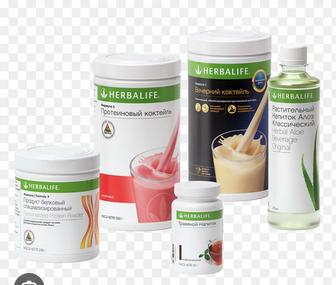 Протеиновый коктейль гербалайф, травяной напиток, алоэ Herbalife