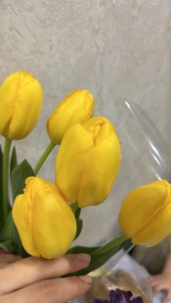 Тюльпаны 5 шт желтых закрытые