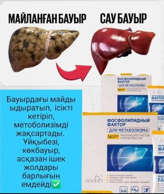 Фосфолипидный фактор