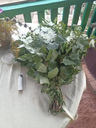 Продам веники березовые