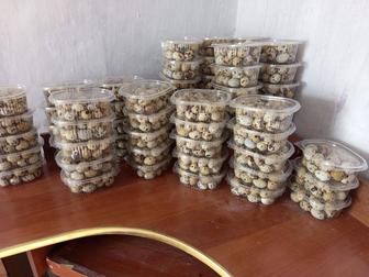 Перепелиные яйца домашние и свежие