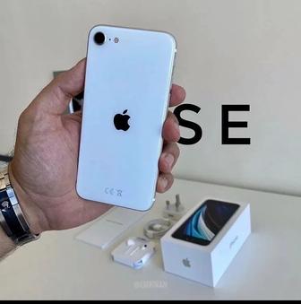 iPhone Se 2020 год